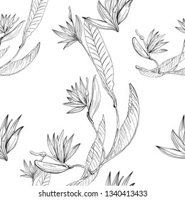 Strelizia tropical paradise pattern