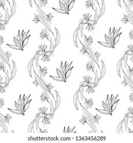 Strelizia tropical paradise pattern for print design. Floral seamless Flower background. Trendy spring blossom decoration.