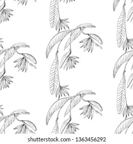 Strelizia tropical paradise pattern for print design. Floral seamless Flower background. Trendy spring blossom decoration.