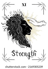 Strength hand drawn major arcana tarot card. Vector illustration with lion and woman hand. Witchcraft concept for tarot readers