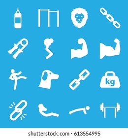 Strength icons set. set of 16 strength filled icons such as lion, abdoninal workout, chain, weight, muscular arm, wolf, sport expander, horizontal bar, boxing bag, muscle arm