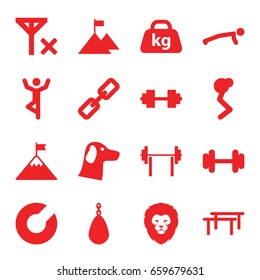 Strength icons set. set of 16 strength filled icons such as lion, barbell, weight, barbell   isolated, no signal, flag on mountain, chain, wolf, expander sport, horizontal bar