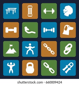 Strength icons set. set of 16 strength filled icons such as lion, barbell, abdoninal workout, chain, bodybuilder, flag on mountain, wolf, link, expander sport, sport expander