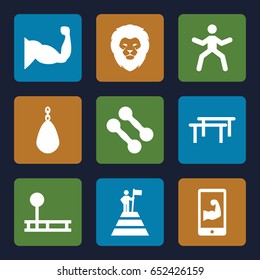 Strength icons set. set of 9 strength filled icons such as lion, muscle, muscular arm  on phone, man at the top of the mountain with flag, dumbbell, fintess equipment