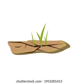 109 Plants growing through cracks Stock Illustrations, Images & Vectors ...