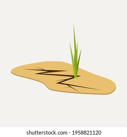 Strength and power of nature. A crack in the ground and a young sprout. Green the grass, plant grows through dry desert soil. Desert, drought, sand and environment. Fragment of a tropical landscape.