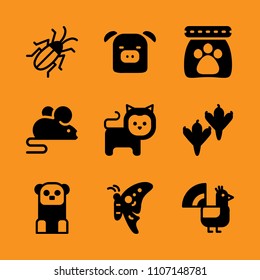 strength, purebred, click and dove icon set. Vector illustration for web and design.