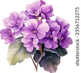 Streptocarpus Saintpaulia Watercolor floral arrangements with beautiful African Violet flower, Watercolor floral bouquet.