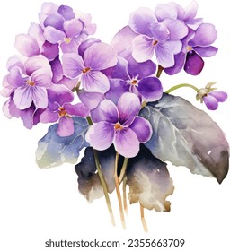 Streptocarpus Saintpaulia Watercolor floral arrangements with beautiful African Violet flower, Watercolor floral bouquet.