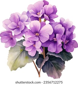Streptocarpus Saintpaulia Watercolor floral arrangements with beautiful African Violet flower, Watercolor floral bouquet. svg