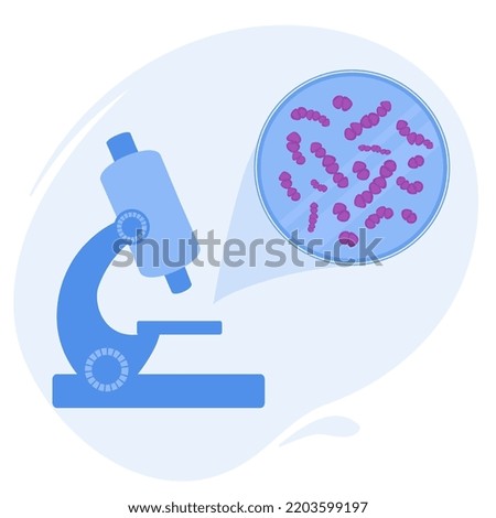 Streptococcus Pneumoniae bacteria under the microscope. Medical research of microbes. Biochemistry and analysis concept. Vector illustration.