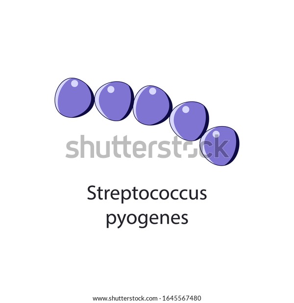 ピョゲネス連鎖球菌 細菌微生物 白い背景にベクターイラスト のベクター画像素材 ロイヤリティフリー