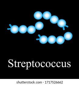 Streptococcus structure. Bacteria streptococcus. Infographics. Vector illustration on isolated background.