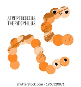 Streptococcus Thermophilus, Salivarius. Cute Lactic Acid Bacteria Character. Probiotics. Good Kawaii Microorganism For Gut, Intestinal Flora Health. Microflora. Vector Flat Cartoon Illustration