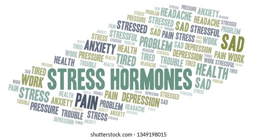Stress Hormones word cloud.