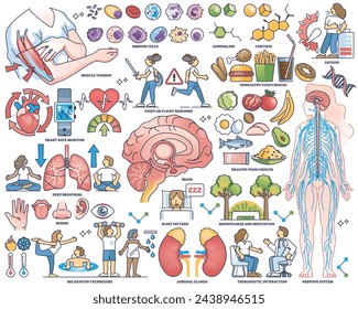 Respuesta al estrés y tratamiento corporal para el conjunto de recolección de esquemas de frustración. Elementos etiquetados con hábitos saludables para la felicidad y la reducción de la ansiedad ilustración vectorial. Proceso mental microbiológico.