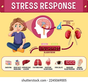 Schema für die Reaktion auf Stress