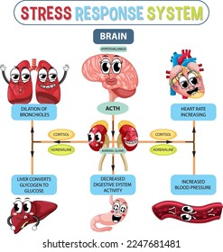 Schema für die Reaktion auf Stress