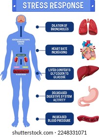 Stress response system scheme illustration