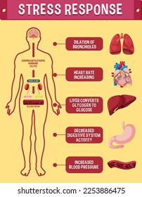 Stress response system scheme illustration