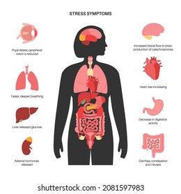 Stress Symptoms And Human Body Emergency Reaction. Hypothalamic Pituitary Adrenal Axis. Adrenal And Pituitary Glands. Adrenaline And Cortisol Hormones In The Human Body Medical Vector Illustration