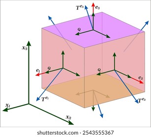 Stress tensor, completely defines the state of stress at a point inside a material in the deformed state, placement, or configuration.