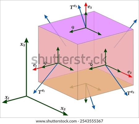 Stress tensor, completely defines the state of stress at a point inside a material in the deformed state, placement, or configuration.