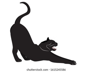 Stretch cat black isolated on white background. Yoga dark kitten icon, vector flat design eps 10