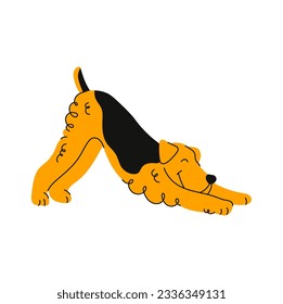 Stretching airedale terrier, cartoon dog animal, cute puppy character. Vector funny pet animal, smiling canine, adorable terrier