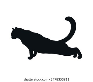 Stretching cat silhouette isolated on white background. Feline shadow. Vector illustration
