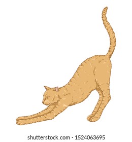 Stretching Cat. Vector Cartoon Brown Feline Illustration