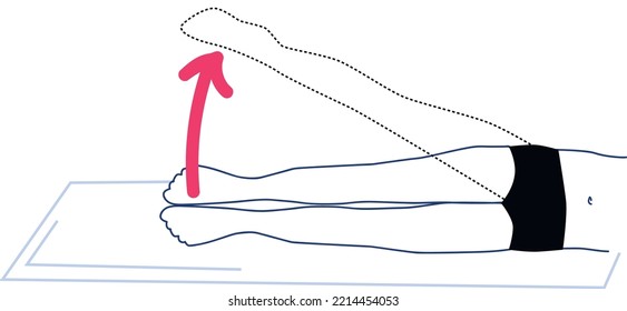 stretching for muscular dystrophy vector