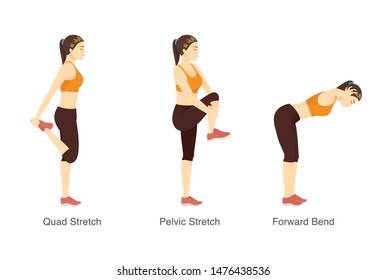 Stretching workout in standing posture with sport woman. Illustration about exercise diagram.