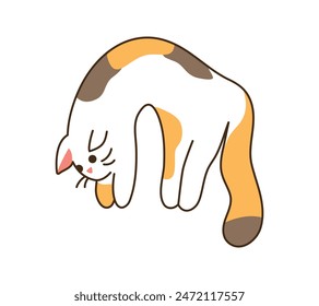 Stretchy Cat hangs his paws isolated. Lifted up domestic helpless relaxed kitten. Tricolor spotted Character with muzzle for sticker. Kawaii animal with whiskers. Doodle. Color Vector illustration