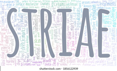 Striae vector illustration word cloud isolated on a white background.