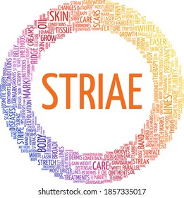 Striae vector illustration word cloud isolated on a white background.