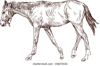 striding horse