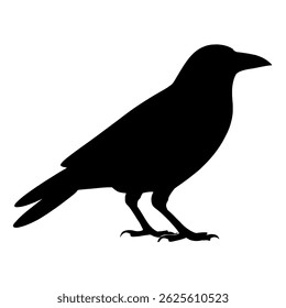 a striking black crow silhouette, isolated on white. perfect for graphic design and nature themed projects.