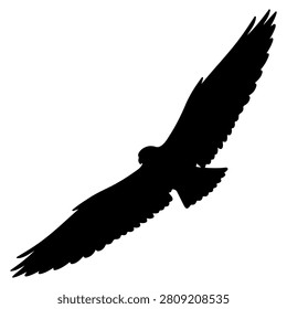 A striking black silhouette of a bird soaring with wings fully extended, capturing the essence of freedom and natures beauty.