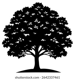 A striking black silhouette of a fully grown tree stands isolated against a crisp white background. 