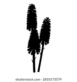 A striking black silhouette of three tall palm trees with detailed fronds, set against a plain background, emphasizing natural tropical scenery.