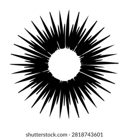A striking black sunburst pattern featuring sharp, radiating rays emanating from a central white circle, creating a dynamic visual effect.