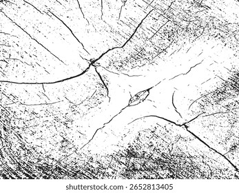 Uma impressionante imagem abstrata em preto e branco com um padrão detalhado de grãos de madeira rachada. O estilo silhueta destaca as linhas orgânicas e manchas texturizadas.