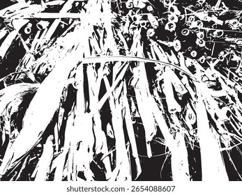 Uma impressionante imagem abstrata em preto e branco com uma composição dinâmica e texturizada. O estilo de silhueta cria uma representação gráfica de alto contraste dos elementos orgânicos.