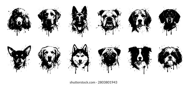 A striking black and white artistic compilation showcases various dog breeds rendered with a dynamic ink splatter effect