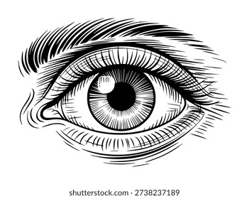 A striking black and white engraving style of a human eye, showcasing intricate linework for iris, pupil, eyelashes, and eyebrow detail.
