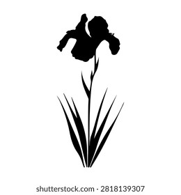 A striking black and white silhouette of an iris flower with grass, emphasizing natural elegance and botanical beauty.