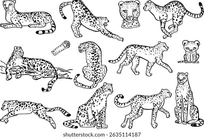  A striking collection of hand-drawn cheetah illustrations, showcasing dynamic movements, powerful expressions, and artistic textures. Perfect for creative and wildlife-themed projects.