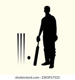 A Striking Collection of Silhouette Cricket Line Art