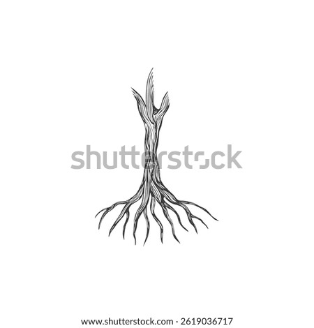 A striking depiction of strength and connection, this tree trunk extends deep, twisting roots. The bold contrast and intricate lines enhance its organic, structured artistic appeal